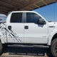 1FTFW1ET8DFB68585 2013 Ford F-150 Xlt auction photo thumbnail 12