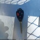 2T1BU4EE9DC087739 2013 Toyota Corolla Le Special Edition auction photo thumbnail 11
