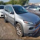 1C4PJMDS8HW596501 2017 Jeep Cherokee Limited 4X4 auction photo thumbnail 1