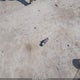 1J4FY29S5PP252549 1993 Jeep Wrangler / Yj auction photo thumbnail 12