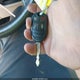 1FTFW1EF7BFB13049 2011 Ford F-150 Lariat auction photo thumbnail 11