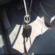 3KPFK4A74HE067100 2017 Kia Forte Lx auction photo thumbnail 11