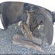 1GCGSBE37G1278728 2016 Chevrolet Colorado Wt auction photo thumbnail 18