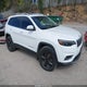 1C4PJMDXXLD526644 2020 Jeep Cherokee Limited 4X4 auction photo thumbnail 1