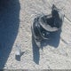 1N6AD0EV4GN793276 2016 Nissan Frontier Sv auction photo thumbnail 12