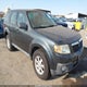 4F2CY0C71AKM02405 2010 Mazda Tribute I Sport auction photo thumbnail 1