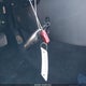 KM8HBCAB2SU236798 2025 Hyundai Kona Sel auction photo thumbnail 11