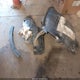 KNDPMCAC7K7612672 2019 Kia Sportage Lx auction photo thumbnail 12
