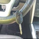 1FM5K8D89DGA07973 2013 Ford Explorer Xlt auction photo thumbnail 11