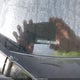 JN8AS58T08W000460 2008 Nissan Rogue Sl auction photo thumbnail 9