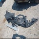 SALVP2BG8GH107616 2016 Land Rover Range Rover Evoque Se/Se Premium auction photo thumbnail 12