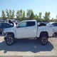 1GCGTDEN4M1182075 2021 Chevrolet Colorado 4Wd Short Box Z71 auction photo thumbnail 14