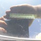 1C4RJFAG9HC894948 2017 Jeep Grand Cherokee Altitude 4X4 auction photo thumbnail 9