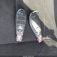 2C4JRGAG4DR671942 2013 Ram Cargo Van auction photo thumbnail 11