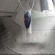 JTNBE46K273093358 2007 Toyota Camry Xle auction photo thumbnail 11