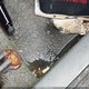 JTEHH20V610096264 2001 Toyota Rav4 auction photo thumbnail 12