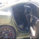2C3CDXGJ5KH604218 2019 Dodge Charger Scat Pack Rwd auction photo thumbnail 8