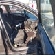 3FA6P0H77HR336866 2017 Ford Fusion Se auction photo thumbnail 5