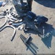 1GNERGRS8SJ175948 2025 Chevrolet Traverse Fwd Lt auction photo thumbnail 18