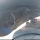 1N4AL2AP7AN442089 2010 Nissan Altima 2.5 S auction photo thumbnail 7