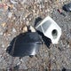 1J4NF2GB9AD501805 2010 Jeep Patriot Sport auction photo thumbnail 12