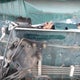 JHLRD1865XC084631 1999 Honda Cr-V Ex auction photo thumbnail 9