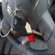 1D7HA16N88J220314 2008 Dodge Ram 1500 St/Sxt auction photo thumbnail 11