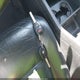 5FNYF38899B014359 2009 Honda Pilot Touring auction photo thumbnail 11