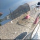 1FMCU0G91EUA34787 2014 Ford Escape Se auction photo thumbnail 21