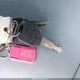 1FTRF14W65NA96592 2005 Ford F-150 Stx/Xl/Xlt auction photo thumbnail 11