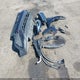 3VVMB7AX8RM042556 2024 Volkswagen Tiguan 2.0T Se auction photo thumbnail 12