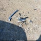 5TDDK3EH0DS191689 2013 Toyota Highlander Limited V6 auction photo thumbnail 12