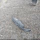 3FTTW8A32RRB53124 2024 Ford Maverick Xl auction photo thumbnail 12