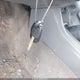 5TELU4EN8AZ727966 2010 Toyota Tacoma Double Cab auction photo thumbnail 11
