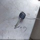 5TFJX4GN2EX036490 2014 Toyota Tacoma Prerunner auction photo thumbnail 11