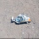 4T1BF1FK5CU102375 2012 Toyota Camry Se auction photo thumbnail 12