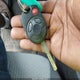 1FMCU9GD8HUD92157 2017 Ford Escape Se auction photo thumbnail 11