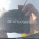 5NTJB4AE1RH098389 2024 Hyundai Santa Cruz Sel auction photo thumbnail 18