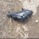 5NPDH4AE5FH610001 2015 Hyundai Elantra Se auction photo thumbnail 12
