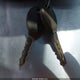 3C4FY48B14T202600 2004 Chrysler Pt Cruiser auction photo thumbnail 11