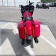 1HD1TL816SB950525 2025 Harley-Davidson Fltrxstse auction photo thumbnail 6