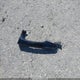 5NPDH4AE0BH003577 2011 Hyundai Elantra Gls auction photo thumbnail 12
