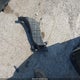 JHMGE88299S072867 2009 Honda Fit auction photo thumbnail 12