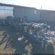 1FTEW1EP2MFA53592 2021 Ford F-150 Xl auction photo thumbnail 3