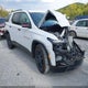 1GNEVKKW0PJ135379 2023 Chevrolet Traverse Awd Premier auction photo thumbnail 1