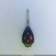 2T1BU4EE1DC964319 2013 Toyota Corolla S auction photo thumbnail 11