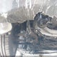 WDBRH64J23F307210 2003 Mercedes-Benz C 320 auction photo thumbnail 17