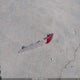 3GNAXLEX5KL242691 2019 Chevrolet Equinox Lt auction photo thumbnail 12