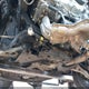 4S4BTANC5R3160178 2024 Subaru Outback Limited auction photo thumbnail 19