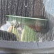 2G1WC5E37C1281099 2012 Chevrolet Impala Ltz auction photo thumbnail 9